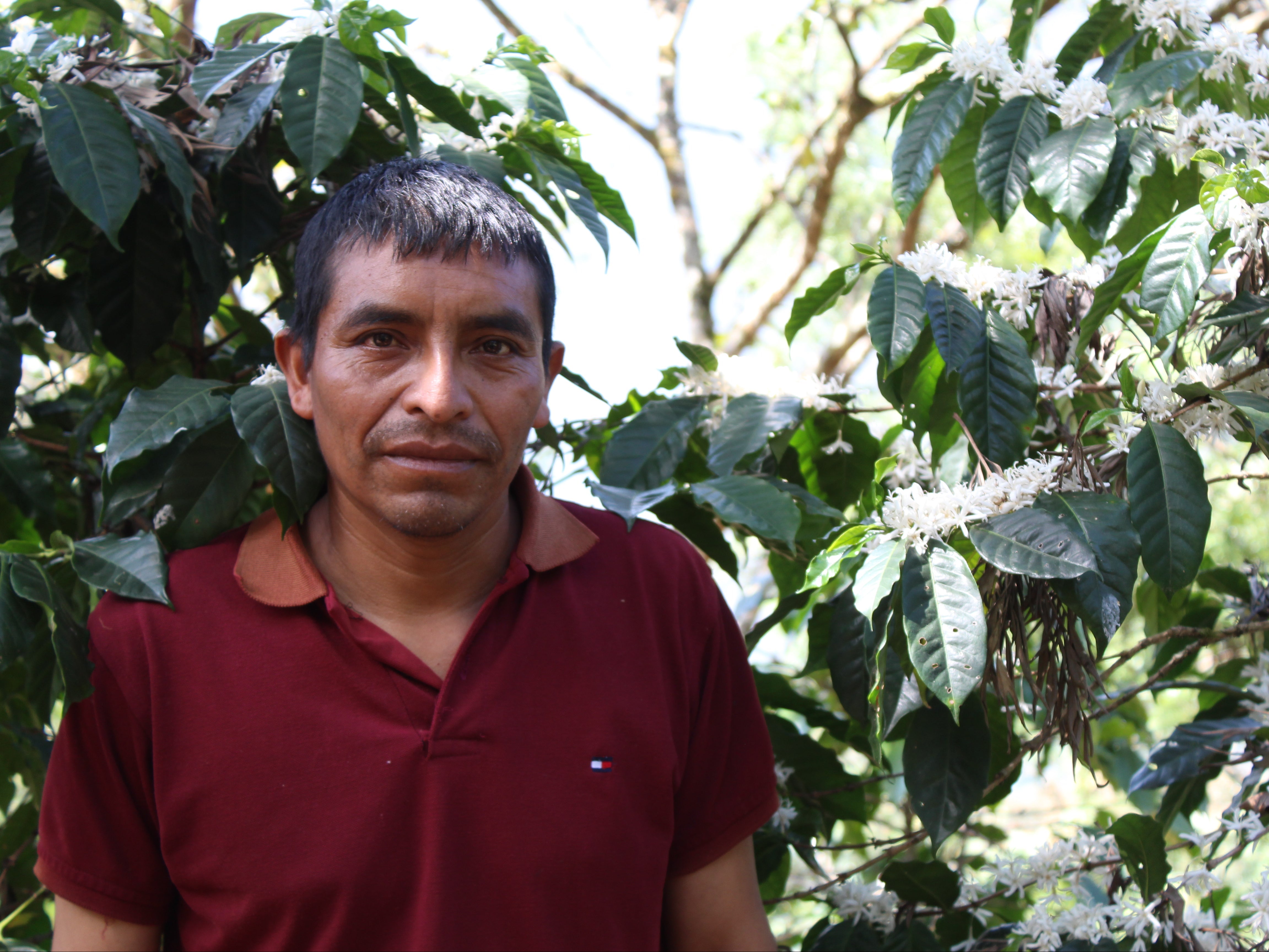 Guatemala - Jezus Pablo Pablo