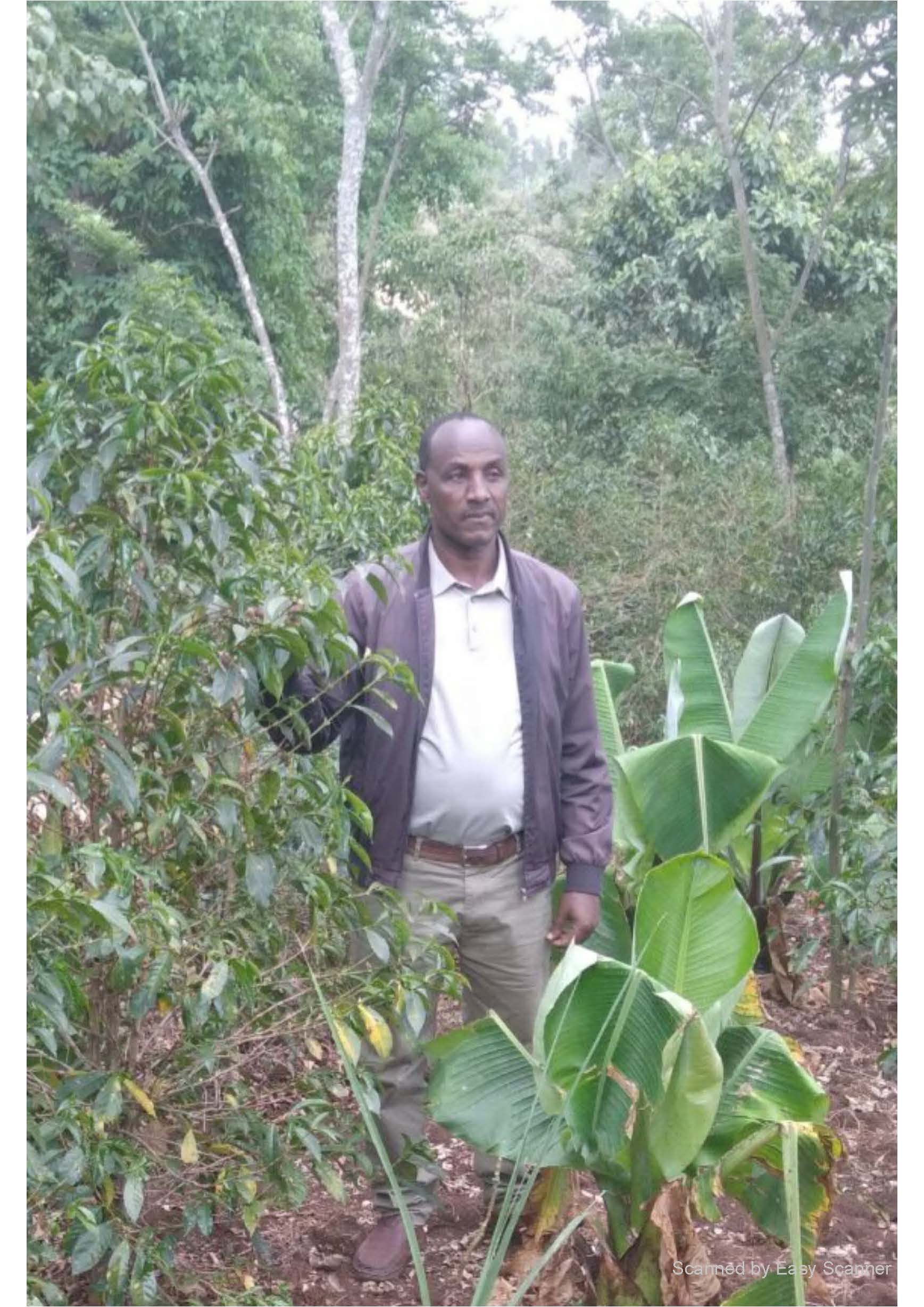 Ethiopia - Yetera Tulu