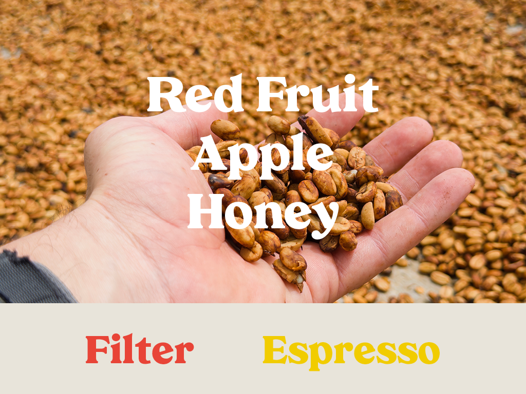 Colombia - Honey Mountain