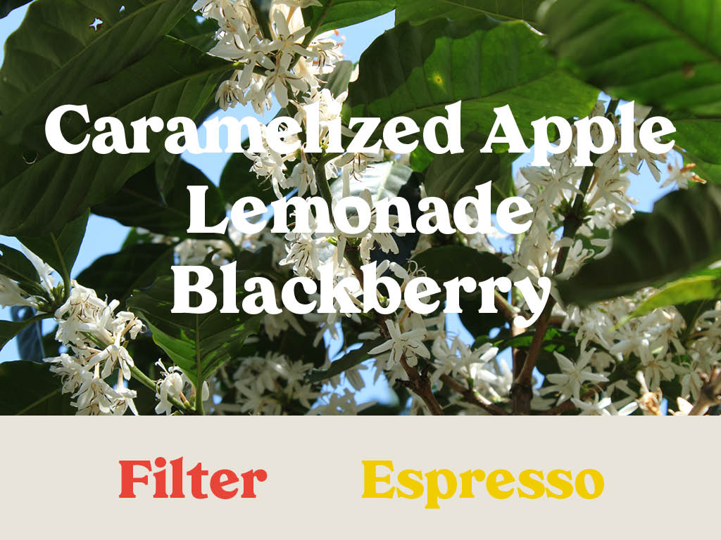 Specialty coffee flavours
