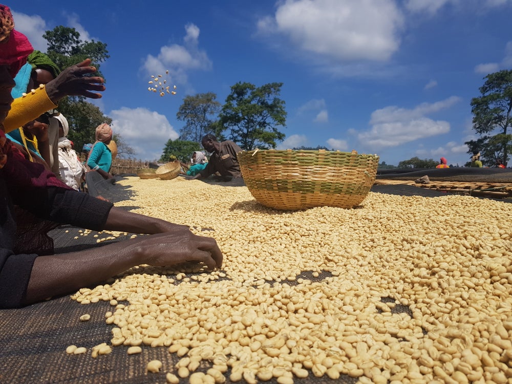 Ethiopia - Koke