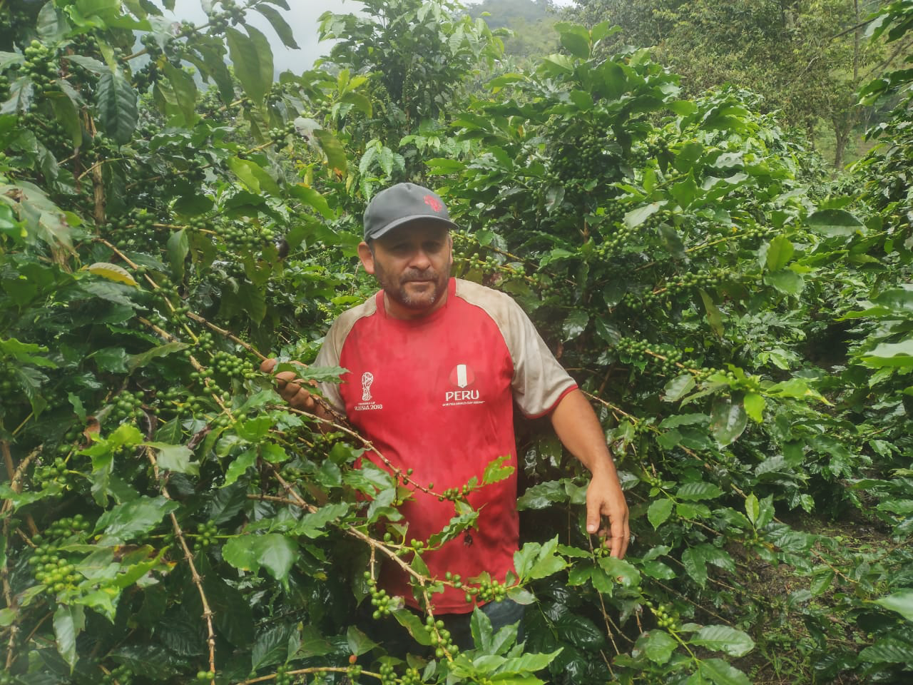 Peru - Segundo Alarcon
