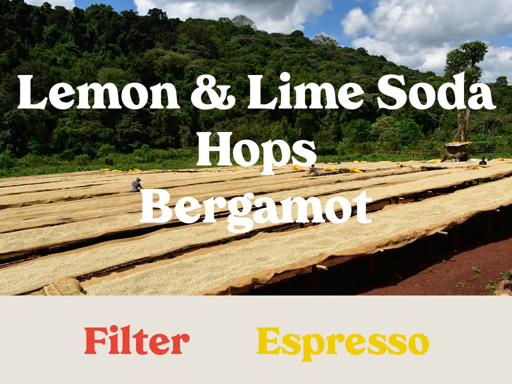 Ethiopia - Shakisso Organic