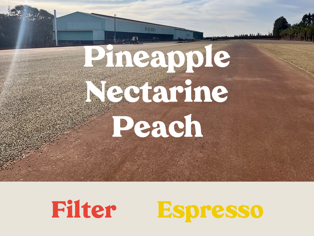 Brazil - Daterra Stardust