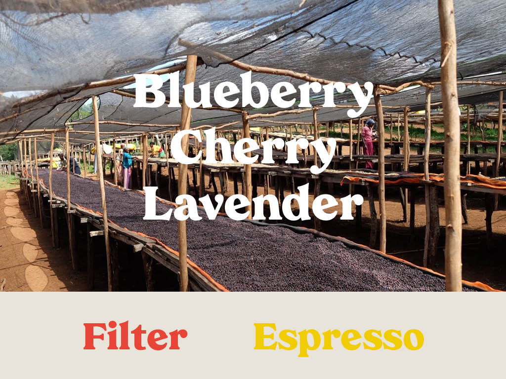 Ethiopia - Yetera Tulu