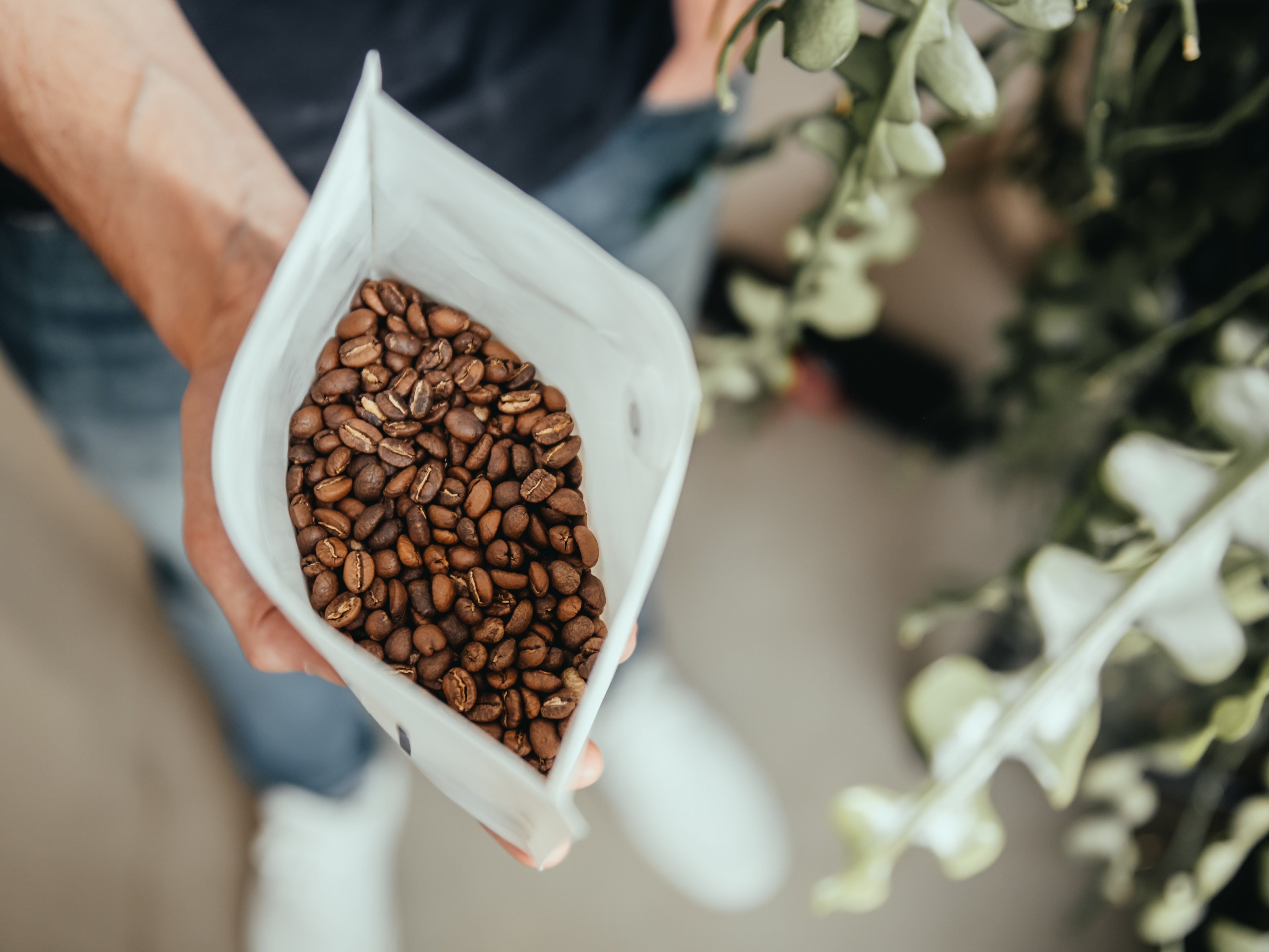 Roasting & Sensory Workshop (English)